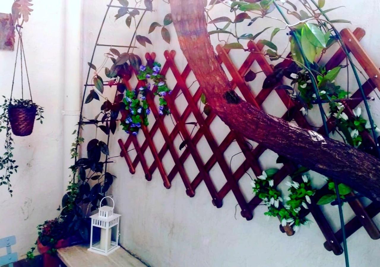 Pied-A-Terre Domusuite Rhome Colosseo Ρώμη Εξωτερικό φωτογραφία